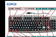电脑键盘价格计算教程（通过了解电脑键盘的规格和品牌来准确计算价格）