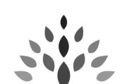 森华易腾（领先科技推动智慧出行的未来）
