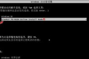如何使用PE装载Windows10系统（实用教程详解PE工具的操作步骤和技巧）