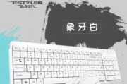 双飞燕9500F（纵情驰骋，畅享极速驾驶乐趣）
