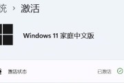 新手如何使用U盘装系统（详细步骤教你轻松完成U盘装系统）