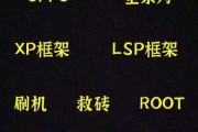 如何给手机获取root权限（简单步骤教你轻松获取root权限）