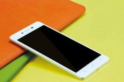 OPPOR7Plus通话时不亮屏的问题分析与解决方法（探索OPPOR7Plus通话时屏幕不亮的原因及有效解决方案）