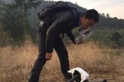 无人机的作战效果如何？（探讨无人机在军事作战中的效能与前景展望）