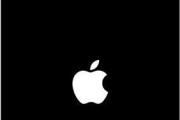 解决电脑登录iTunes错误的方法（如何应对电脑登录iTunes时出现的错误信息）