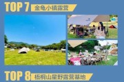 探索坪山顶海环境的壮丽与神秘（深入了解坪山顶海的自然美景和生态奇观）