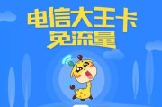 大王卡套餐（超值套餐，无限畅享通信生活！）