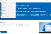 选择最干净的U盘装系统工具的必要性（如何确保U盘装系统工具的安全性与效率）