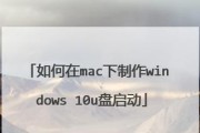 如何使用U盘在Mac上安装Windows双系统（详细教程，轻松搞定双系统安装）