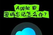 重置电脑开机密码的流程（忘记密码？别担心，跟着这个流程轻松重置你的电脑密码吧！）