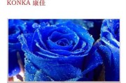 康佳电视色彩怎么样？（揭秘康佳电视的色彩表现和画质技术）