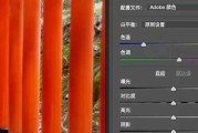 如何打开和处理CR2格式的照片文件（探究CR2格式照片的打开方法和处理技巧）