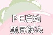 电脑进不了系统黑屏解决方法大揭秘（遇到电脑黑屏怎么办？快来看看这些解决方法！）