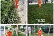 乐果B3000（探索乐果B3000的创新功能和出色性能）