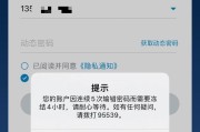 探究网吧电脑显示输入密码错误的原因（密码错误的危害与解决方案）