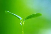 如何使用PE4K对齐分区提高硬盘性能？（简单教程教你快速优化硬盘读写速度）
