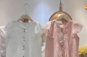 海尔W880如何满足用户需求？（功能强大、性能稳定、智能便捷，海尔W880是您的理想选择！）
