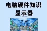 电脑基础知识大全（了解电脑的基本知识，打造高效工作环境）