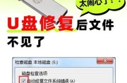 U盘装系统教程（使用U盘轻松安装系统，解决服务器启动问题）