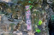 以蝶变5手机如何改变我们的生活？（全新升级，开启智能科技新篇章）