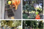 乐果B3000（高性能处理器、强大摄像系统，乐果B3000引领智能手机新时代）