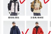 戴尔2515颜色如何？（全面评测戴尔2515显示器的色彩表现）